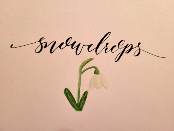 Shaftesbury Snowdrops Exibition 2021 - Emma Weeks